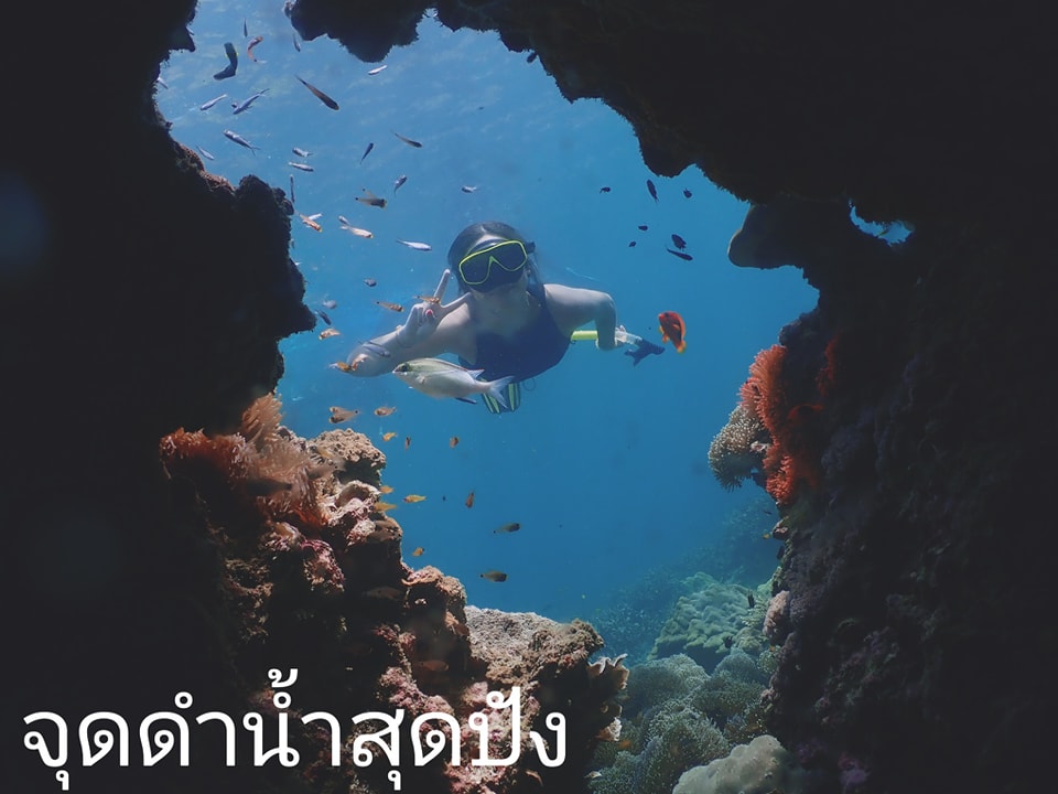 ดำน้ำเกาะหัวใจมรกต