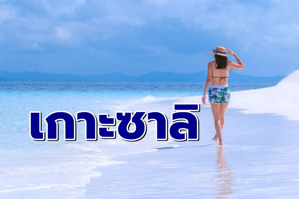 เกาะซาลิ
